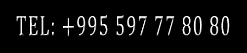 TEL