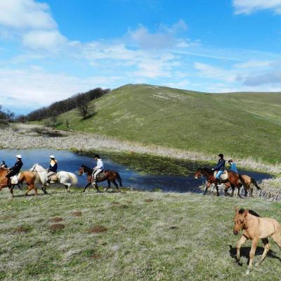 Ghvevi Horse Riding 2016