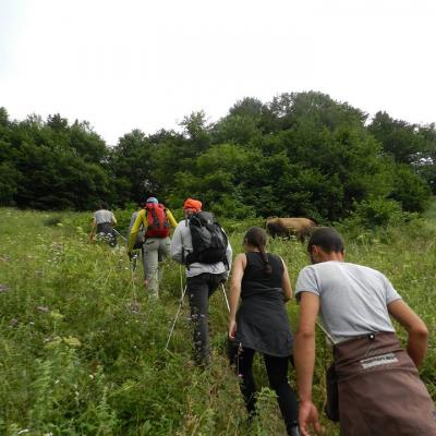 Hiking guide course Upper Racha 2015